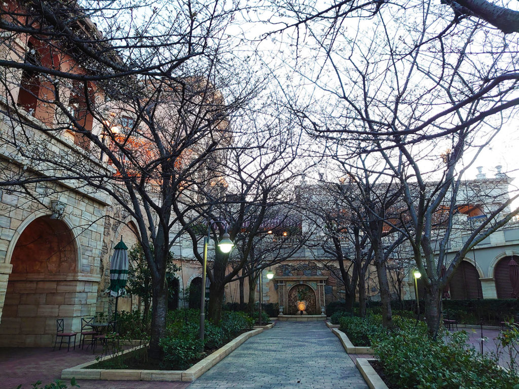 21 ディズニーシー ミラコスタ前の大島桜が咲き始めました 東京ディズニーリゾート周辺周遊